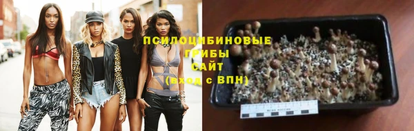 бошки Арсеньев