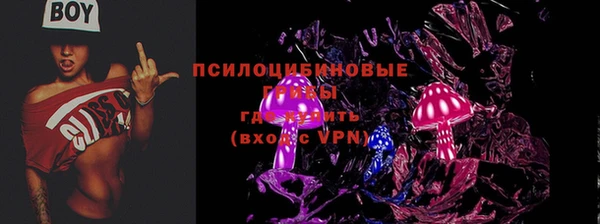МДПВ Протвино