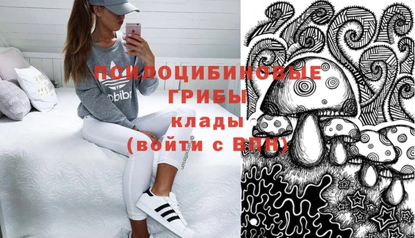 Альфа ПВП Армянск