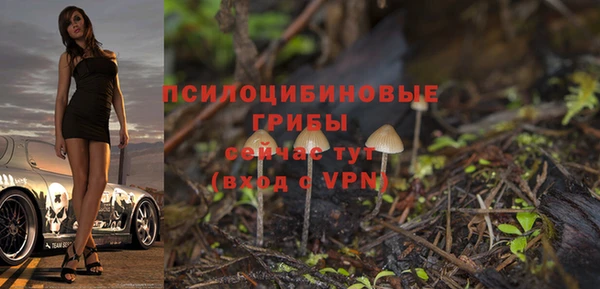 эйфоретик Приозерск