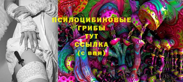 МДПВ Протвино